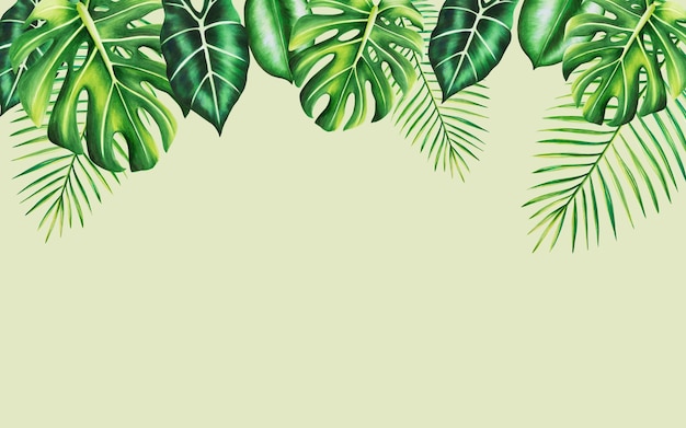 Marco acuarela con ilustración tropical realista de monstera y palma aislada en la espalda blanca