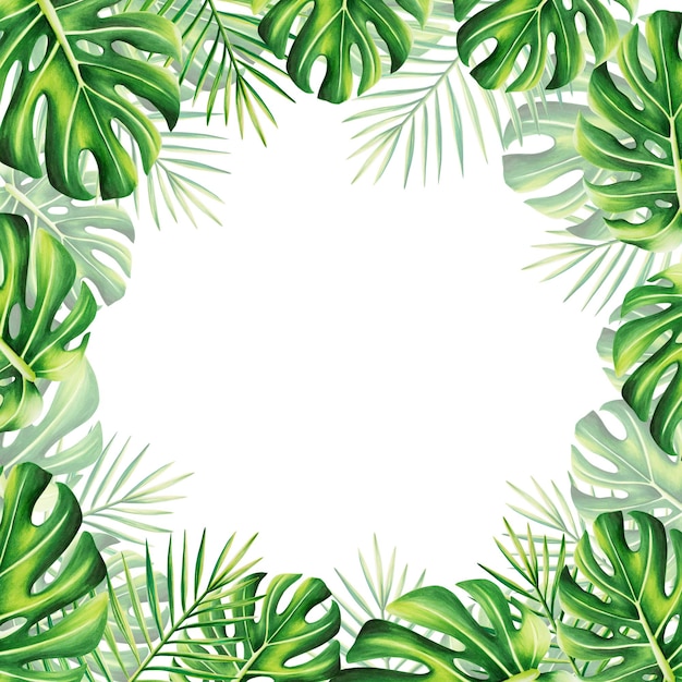 Marco de acuarela con ilustración tropical realista de monstera y palma aislados sobre un fondo blanco