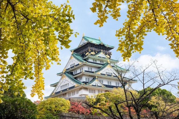 Marco arquitetônico do Castelo de Osaka com cobertura de folhas de ginkgo na temporada de outono