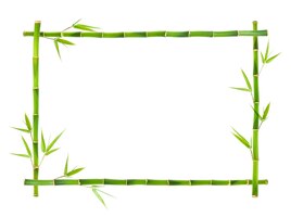 Foto marco de bambú aislado sobre fondo blanco.