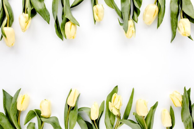 Marco de borde de flores hecho de tulipanes de capullos amarillos y beige sobre un fondo blanco, el apartamento estaba en la parte superior
