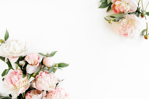 Marco de borde hecho de flor de peonías rosa y beige y aislado sobre fondo blanco