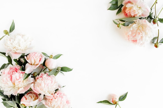 Marco de borde hecho de flor de peonías rosa y beige y aislado sobre fondo blanco