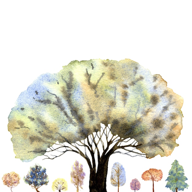 Marco de bosque de invierno sobre fondo blanco. Árboles multicolores. Ilustración acuarela dibujada a mano.