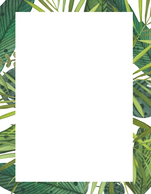 Marco botánico tropical con hojas.