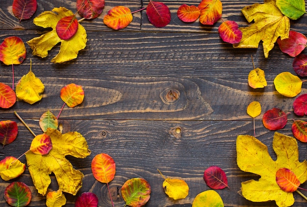 Marco colorido de las hojas de otoño sobre un fondo de madera