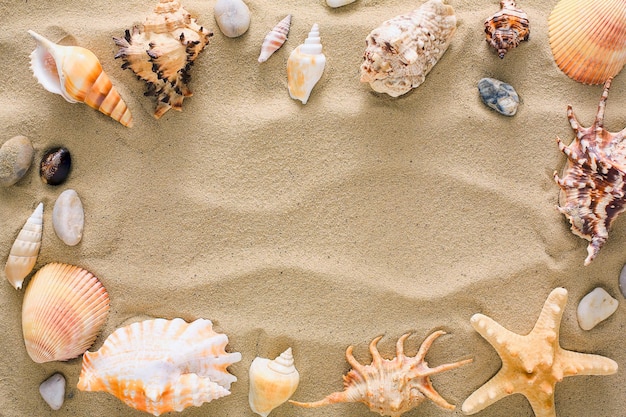 Marco de conchas, estrellas de mar y guijarros de mar sobre fondo de arena de playa. Superficie con textura natural de la orilla del mar, vista superior, espacio de copia