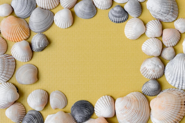 El marco de conchas marinas multicolores sobre un fondo amarillo Espacio de copia de vista superior