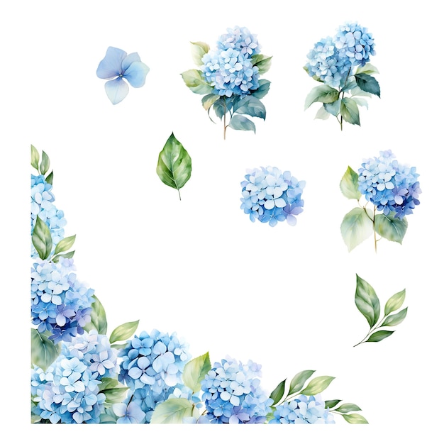 Marco con un conjunto de hortensias azules acuarelas