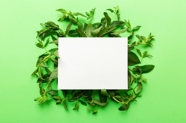 Marco de corona hecho de papel vacío en blanco con espacio para texto y hojas de menta sobre fondo de color Patrón de menta Endecha plana Vista superior