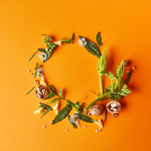 Marco creativo de nueces, flores y hojas verdes sobre un fondo naranja, composición de otoño laicos plana