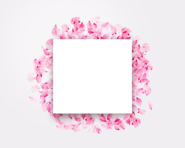 Foto marco cuadrado blanco con flores de color rosa sobre un fondo blanco.