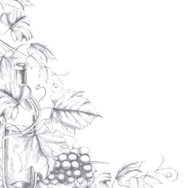 Marco cuadrado con una botella de vino entrelazada con uvas aisladas ilustración a lápiz en un realista