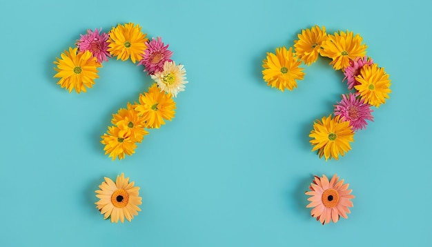 Marco de interrogação feito de flores de dente-de-leão em Flat lay em fundo azul pastel Primavera