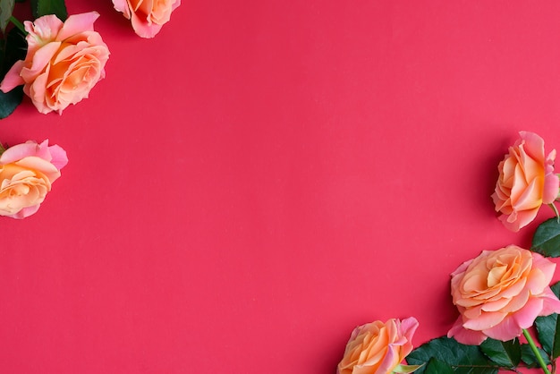 Marco festivo de esquina de flores frescas rosas florecientes sobre un fondo rojo rubí