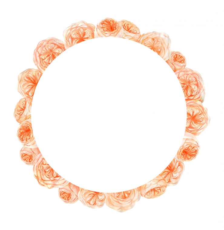 Foto marco de flor color de rosa acuarela durazno y naranja