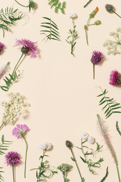 Marco floral natural con flores silvestres de verano y hierba Borde botánico de hierbas de pradera y campo