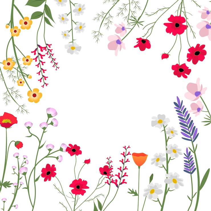 Foto marco floral png decorado con borde de flores silvestres