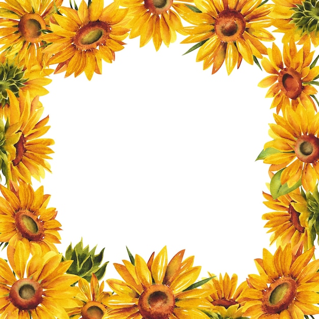 Foto marco de flores de acuarela de flores de girasol sobre un fondo blanco