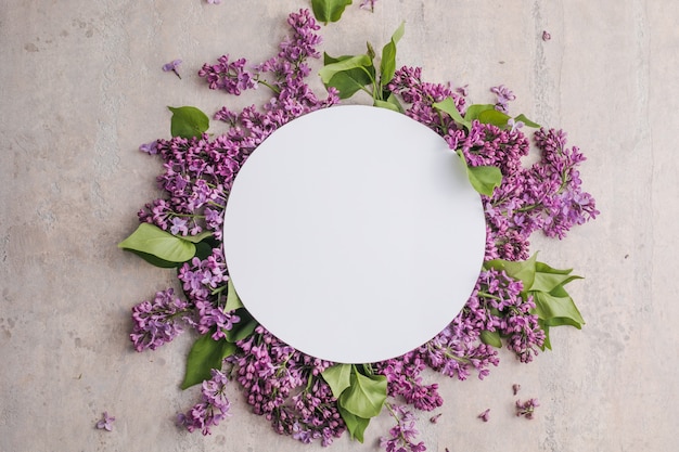marco con flores lilas sobre fondo gris