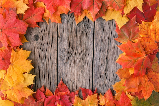 Marco de fondo decorativo de hojas de arce de otoño