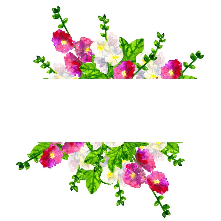Foto marco de fondo con malva rosa púrpura con hojas. malva blanca. ilustración acuarela dibujada a mano. aislado.
