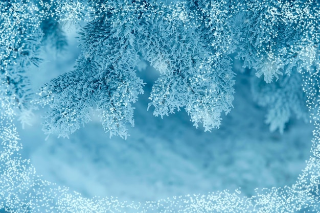 Marco de fondo de Navidad árbol cubierto de nieve