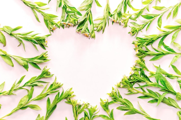 Marco en forma de corazón con flores de campo en el fondo blanco. Plano, vista superior