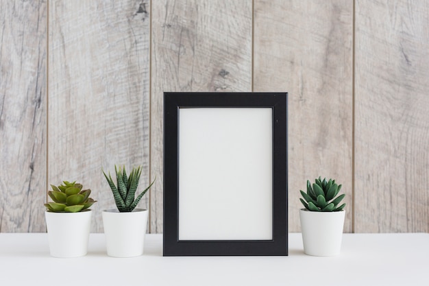 Marco de fotos en blanco con planta suculenta contra pared de madera