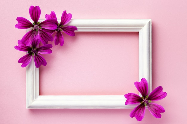 Marco de fotos de madera blanca con flores de color púrpura sobre fondo de papel rosa