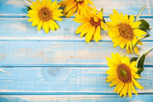 marco con girasoles