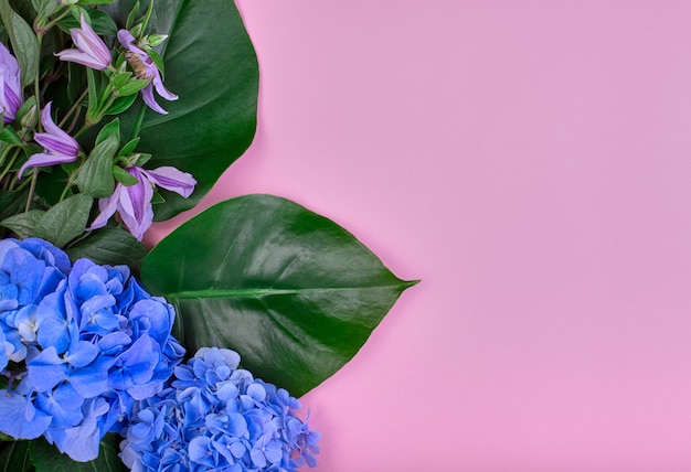 Marco hecho de hortensias azules y hojas verdes sobre fondo rosa. Vista plana, vista superior. Antecedentes de la boda