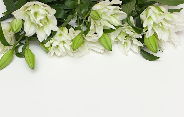 Foto marco de hermosas flores de lirio sobre un fondo blanco plano lay espacio para el texto