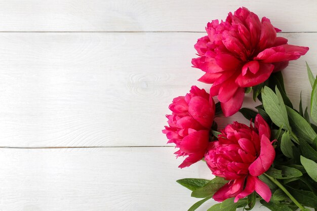 Marco de hermosas flores de peonía rosa brillante sobre un fondo blanco de madera. vista superior. espacio para texto