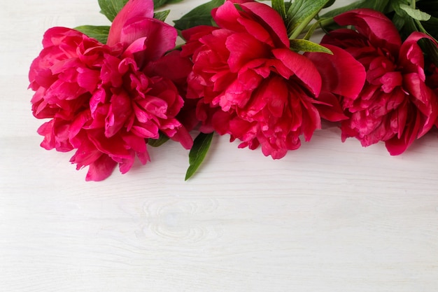 Marco de hermosas flores de peonía rosa brillante sobre un fondo blanco de madera. vista superior. espacio para texto