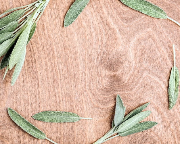 Marco de hoja de salvia de fondo vegetal con espacio de copia en el medio