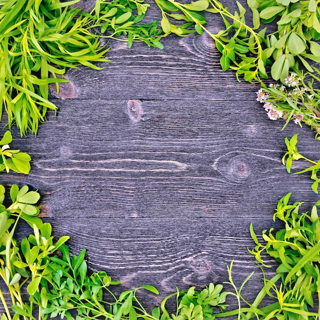 Foto marco de hojas de hierbas de fenogreco, ruda, ajedrea, estragón, tomillo contra el fondo de tablas de madera negra