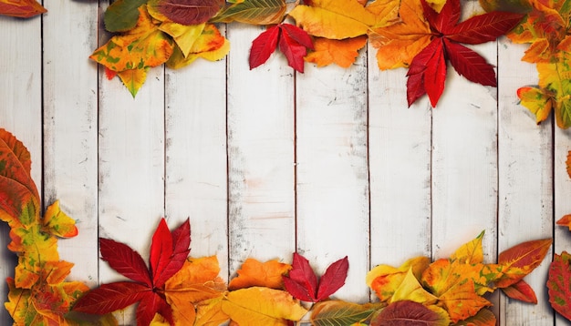 Marco de hojas de otoño sobre fondo blanco de madera rústica