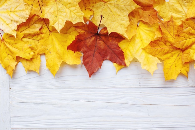 Marco de hojas de otoño sobre fondo de madera