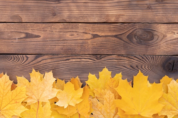 Marco de hojas de otoño sobre fondo de madera