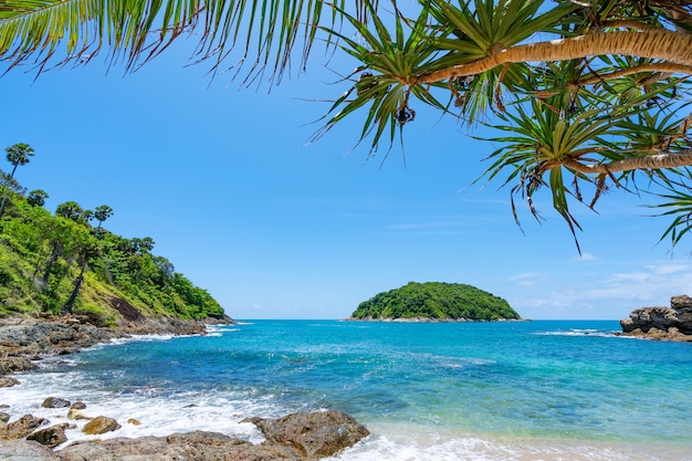 Foto marco de hojas con playa de mar de verano increíble mar azul claro cielo y nubes ola rompiendo en la orilla del mar árbol deja hermoso marco de hojas sobre el mar espacio de copia.