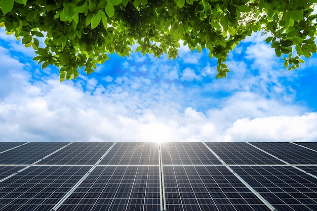 Foto marco de hojas verdes con panel de energía solar fotovoltaica en vista cielo azul de primavera