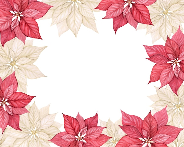 Marco horizontal de acuarela con flores de poinsettia Marco navideño con espacio para texto Flor roja y blanca Estrella de Navidad Tarjeta de invitación de vacaciones de Año Nuevo felicitaciones