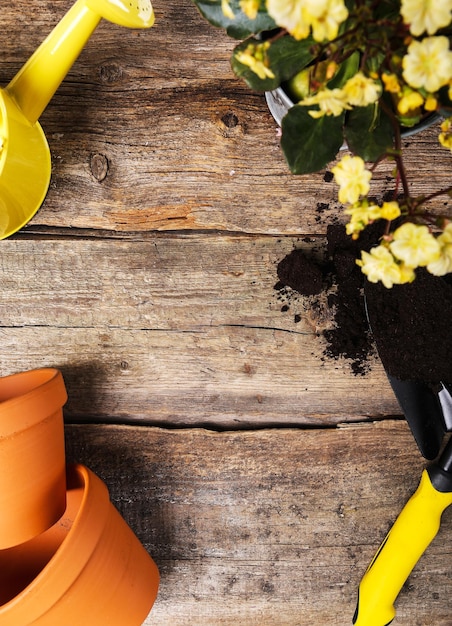 Foto marco de jardinería con flores y ollas