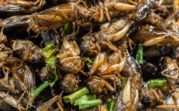 Marco kochte Insekt mit Gemüse auf asiatischem Essen