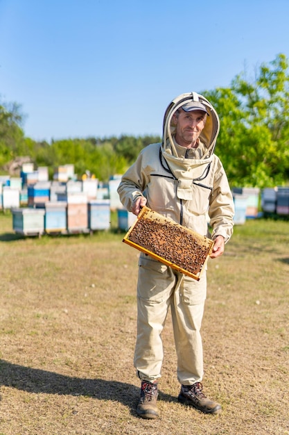 Marco de madera para hacer miel sosteniendo en las manos Apicultor trabajando con insectos en apiario