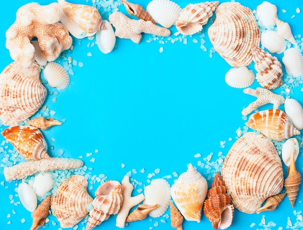 Foto marco de mezcla de conchas marinas y corales sobre fondo azul