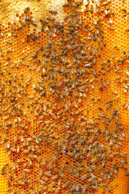 Marco de miel con textura de miel sellada y sellada.