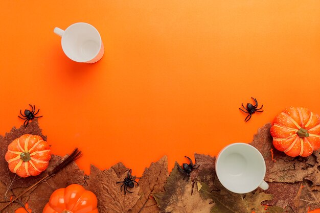 Marco de objetos de fiesta de Halloween y otoño de colección