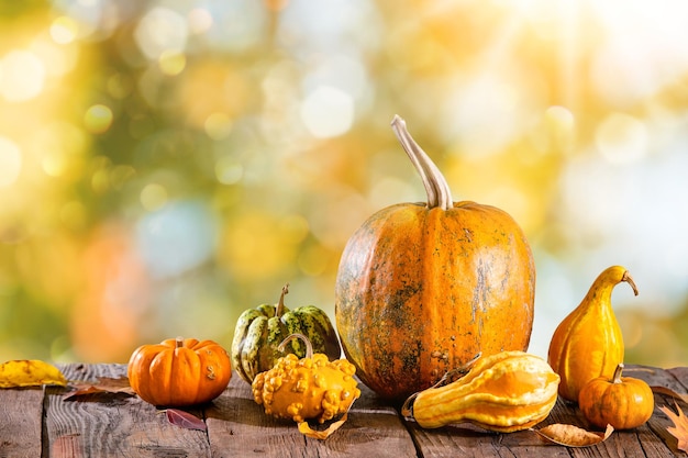 Marco de otoño con calabazas en mesa de madera y hojas de naranja